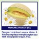 SOS Hand Soap Fragrance Anti Bacterial - Melon Floral 4L SOS Hand Soap Fragrance Anti Bacterial - Melon Floral 4L